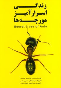 گذری بر زندگی اسرار آمیز مورچه‌ها