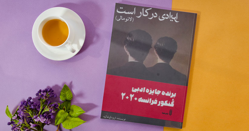 ایرادی در کار است/ رمان برنده‌ی گُنکور ۲۰۲۰ در زبان فارسی